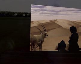 龙门镖局 封面图